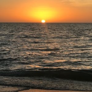 Meet your Posher, Jeannie